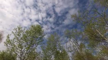 Dağlarda bir bahar akşamının zamanı.