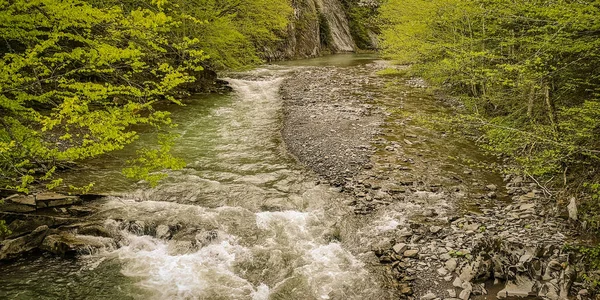 Burzliwa Rzeka Wiosennym Lesie Górskim — Zdjęcie stockowe