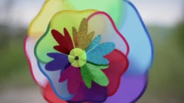 Rüzgarda gökkuşağı rüzgar gülü