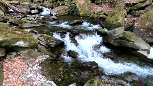 Cachoeira Cascata Floresta Primavera Montanha — Vídeo de Stock