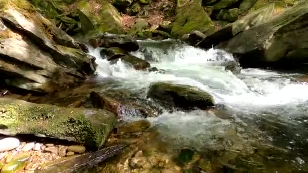 Cachoeira Cascata Floresta Primavera Montanha — Vídeo de Stock