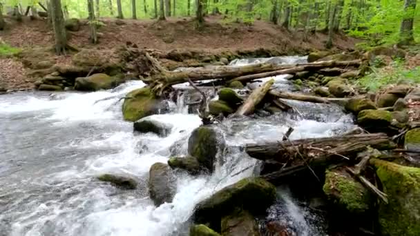 Kaskadierender Wasserfall Bergquellwald — Stockvideo
