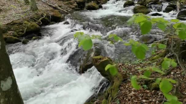 Kaskádový Vodopád Horském Jarním Lese — Stock video