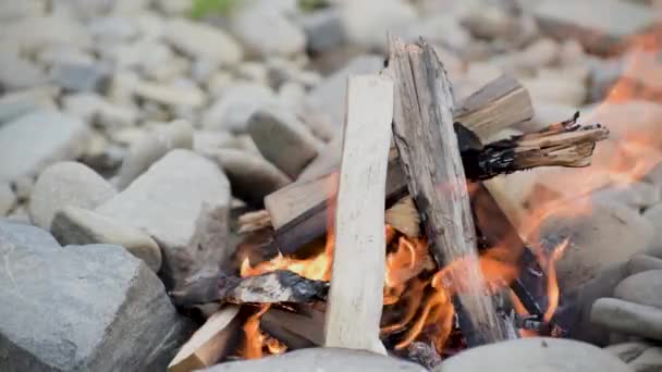 Een Man Maakt Een Vuur Voor Het Koken Natuur — Stockvideo