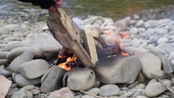 Bir Erkek Doğada Yemek Pişirmek Için Ateş Yakar — Stok video