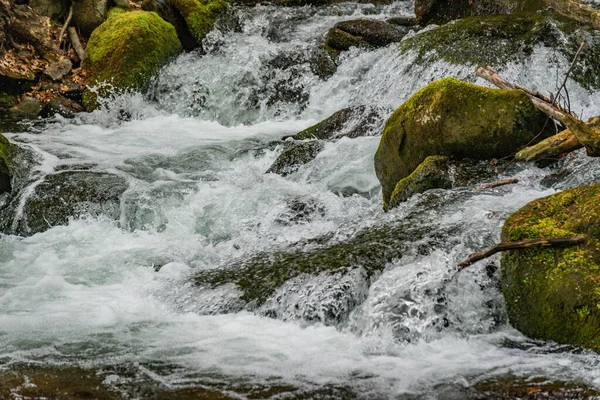 Kaskadierender Wasserfall Bergquellwald — Stockfoto