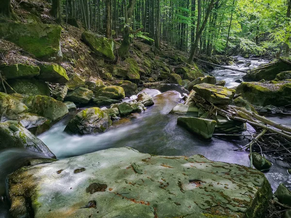 Cascata Cascata Nella Foresta Primaverile Montagna — Foto Stock