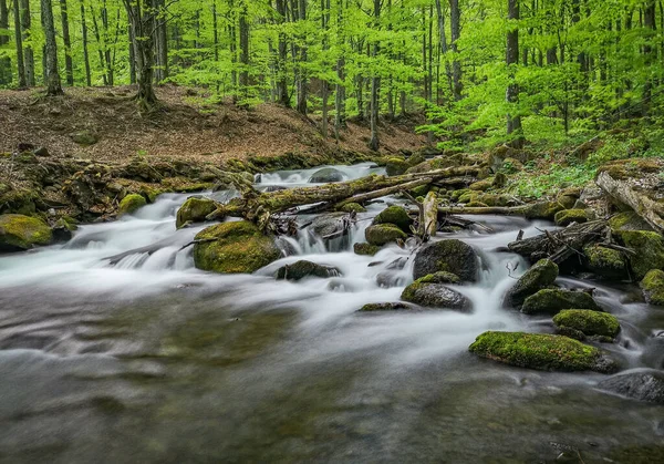 Cascading Waterfall Mountain Spring Forest — Stock Photo, Image