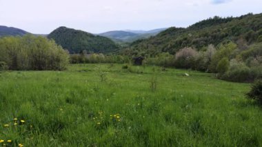 Dağlarda bir bahar akşamının zamanı.