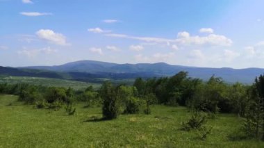Karpatlar 'ın dağlık kırsalında yürü.