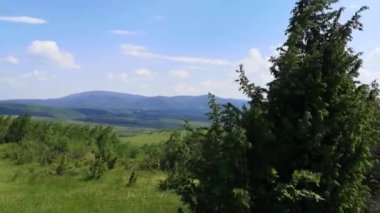 Karpatlar 'ın dağlık kırsalında yürü.