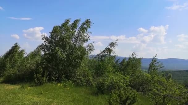 Karpatlar Dağlık Kırsalında Yürü — Stok video