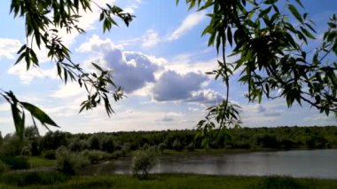 Söğüt ağacından geçen bulutların zaman akışı
