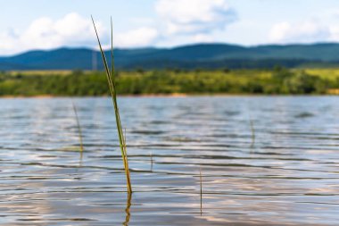 Gölde güzel altın saat