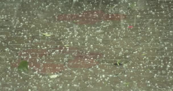 大雨倾盆 冰雹落在铺路石上 — 图库视频影像