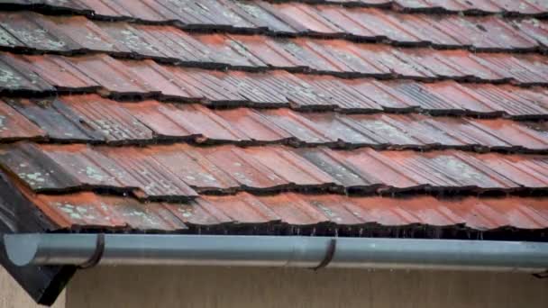 鉄の屋根の上に雹と豪雨 — ストック動画