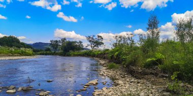Yaz güneşli bir günde dağ nehri manzarası