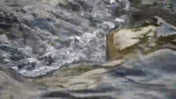 Поверхность Горной Реки Закате — стоковое видео