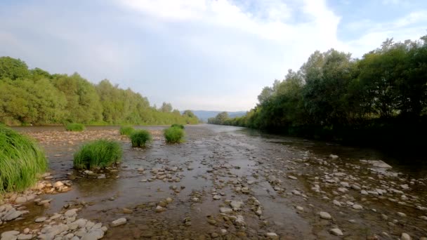 Lapso Tiempo Del Verano Montaña Paisaje Fluvial — Vídeos de Stock