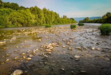 Dağ nehri güneşli gün manzarası