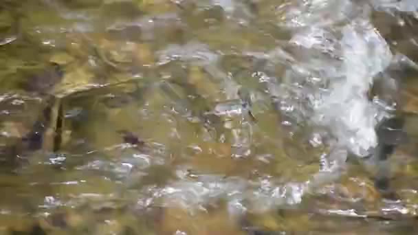 山河中的酒壶 — 图库视频影像