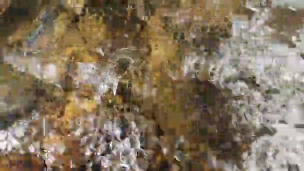 山里的酒壶 — 图库视频影像