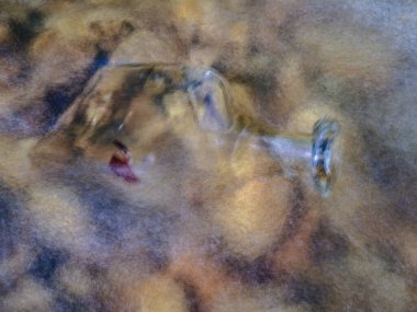 Karanlık bir arka planda genç bir sarmaşık