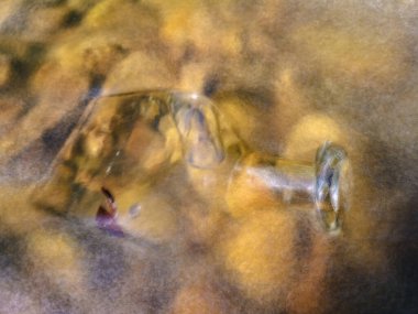 Karanlık bir arka planda genç bir sarmaşık