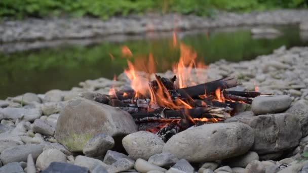 Bonfire Bank Mountain River — Stok video