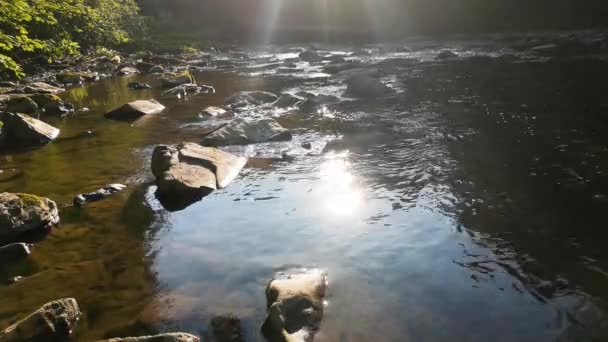 Τοπίο Ενός Ποταμού Βουνού Στο Ηλιοβασίλεμα — Αρχείο Βίντεο