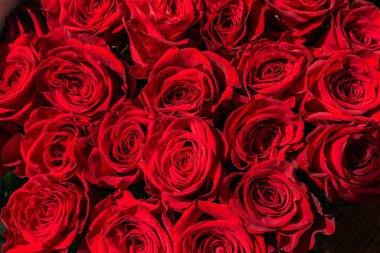 Bir sürü kırmızı gül buketi