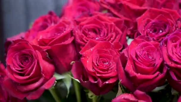 Червоні Троянди Краплями Дощу — стокове відео