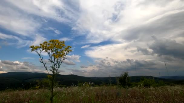 Tijdsverloop Van Een Zomers Stormachtig Landschap Karpaten — Stockvideo