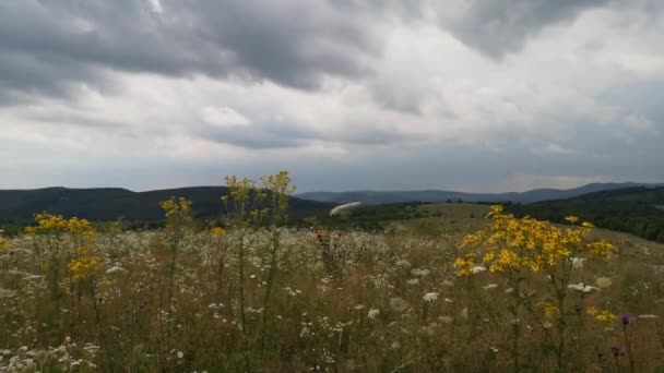 Zeitraffer Einer Sommerstürmischen Landschaft Den Karpaten — Stockvideo