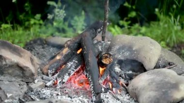 Etrafı doğa ile çevrili kamp ateşi olan bir manzara.