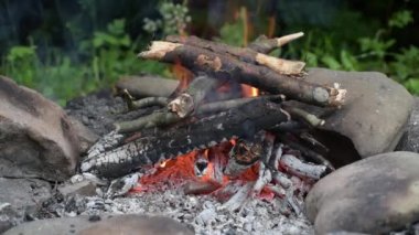 Landscape with campfire surrounded by nature