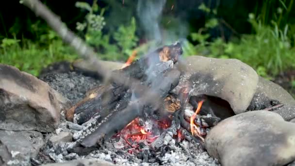 Landscape Campfire Surrounded Nature — ストック動画