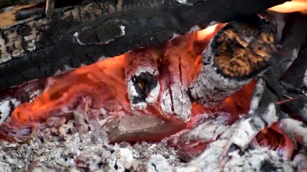 Nahaufnahme Eines Feuers Einem Lagerfeuer — Stockvideo