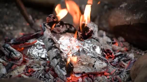 Μαγείρεμα Τροφίμων Αλουμινόχαρτο Στην Πυρκαγιά Στο Δάσος — Αρχείο Βίντεο
