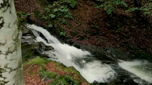 Stürmischer Wasserfall Sommerlichen Bergwald — Stockvideo