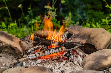 Landscape with campfire surrounded by nature