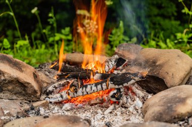 Etrafı doğa ile çevrili kamp ateşi olan bir manzara.