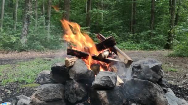Dağ Ormanlarında Kamp Ateşi Yanıyor — Stok video
