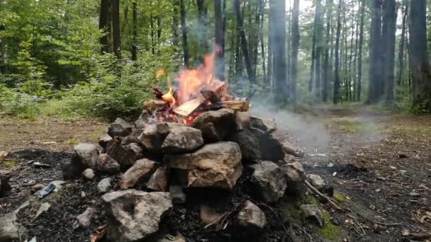 Arderea Focului Tabără Pădurea Montană — Videoclip de stoc