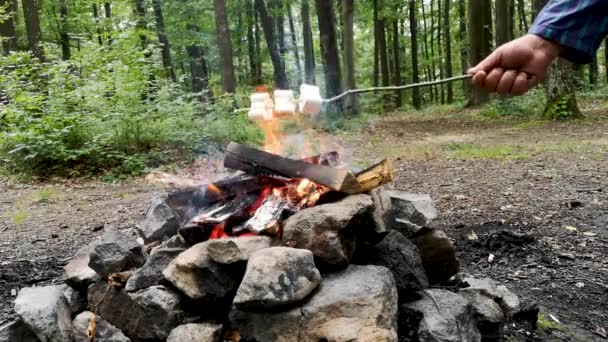 Ένας Άντρας Τηγανίζει Τον Μάσμερλοου Φωτιά Στο Δάσος — Αρχείο Βίντεο
