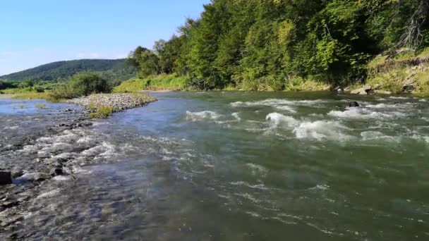 Fuldstrømmende Bjergflod Karpaterne – Stock-video