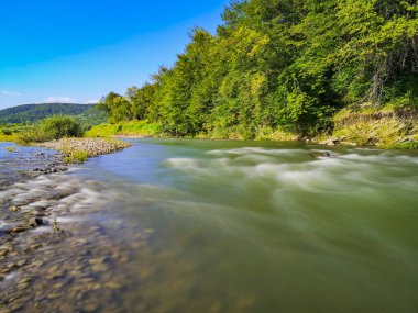 Karpat Dağları 'nda akan dağ nehri
