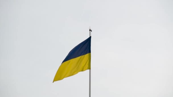 Bandeira Ucraniana Flutters Vento Forte — Vídeo de Stock