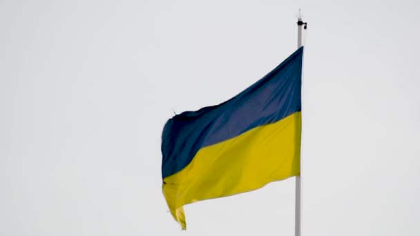 Ukrainian Flag Flutters Strong Wind — Stock Video