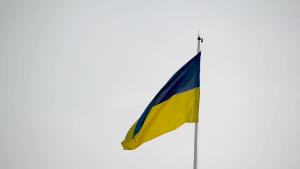 Ουκρανική Σημαία Κυματίζει Δυνατό Άνεμο — Αρχείο Βίντεο